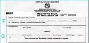 Conclusion registro civil