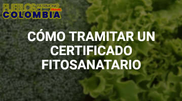 Certificado fitosanitario 