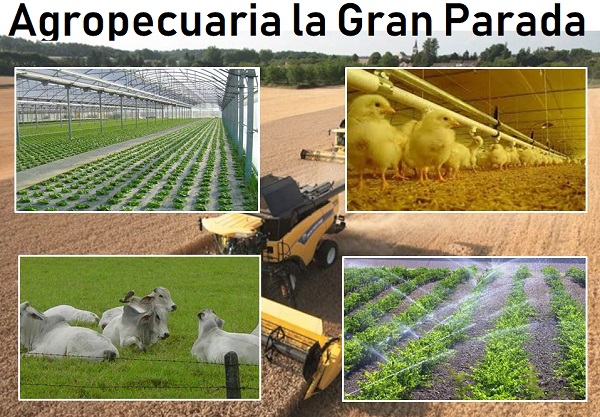 Agropecuarias en Cúcuta 