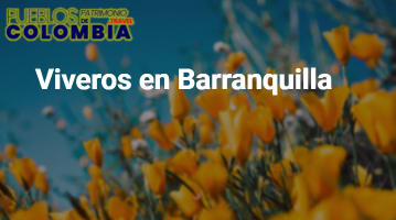 Viveros en Barranquilla