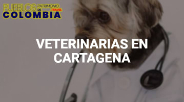 Veterinarias en Cartagena
