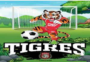 Tigres Fútbol Club