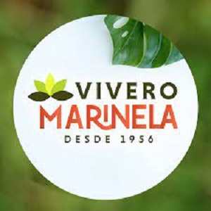 Vivero Marinela